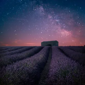 The magic of Provence The magic of Provence