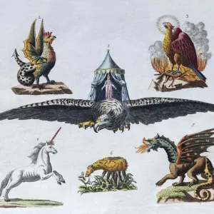 Magical Creatures Hand-Colored Copper Engraving Print