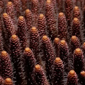 Magical Underwater World Magical Underwater World