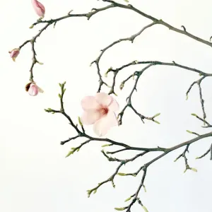 Magnolia Branch Print with Pink Flowers and Buds