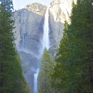 Yosemite Falls Print, a close-up of multiple plunges Yosemite Falls Print, a close-up of multiple plunges