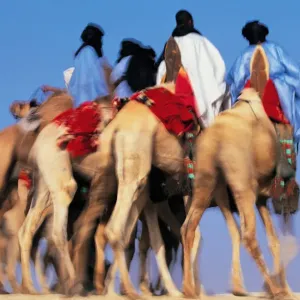 Mali Print: Tuareg Camel Riders in the Sahara Desert Mali Print: Tuareg Camel Riders in the Sahara Desert