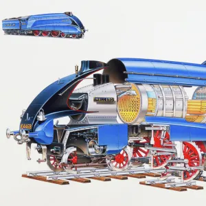 Mallard Steam Engine, expanded cross-section