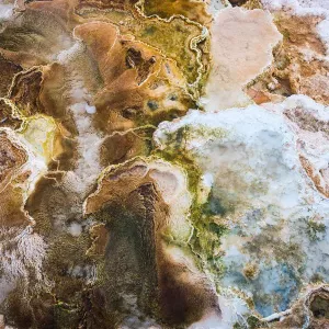 Mammoth Hot Springs Print Mammoth Hot Springs Print