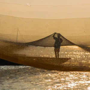 A man checking golden net in Hoi An river, Quang Nam province, Vietnam A man checking golden net in Hoi An river, Quang Nam province, Vietnam
