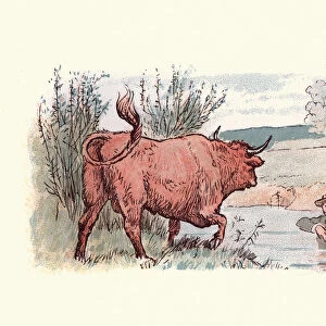 Man hiding in a river from a bull