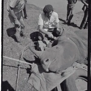 Images Dated 1979 June: 1 Jun 1979