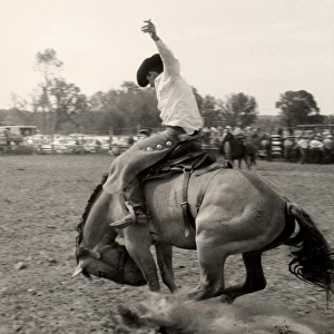 Man riding bucking bronco
