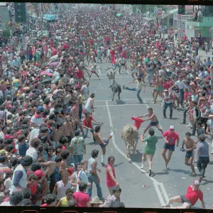 Images Dated 1983 May: 14 May 1983