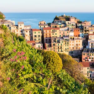 Manarola