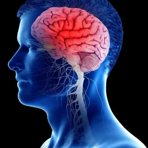 Man's brain, illustration