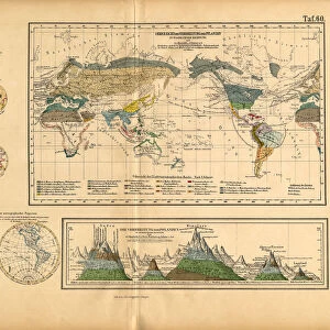 Map of Global Distribution of Plants, Victorian Botanical Illustration