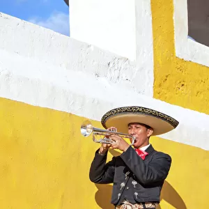 Mariachi man playing trumpet, Izamal, Mexico
