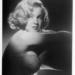 Marilyn Portrait Marilyn Portrait