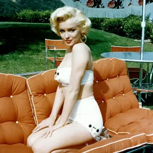 Marilyn Portrait Marilyn Portrait