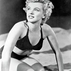 Marilyn Portrait Marilyn Portrait