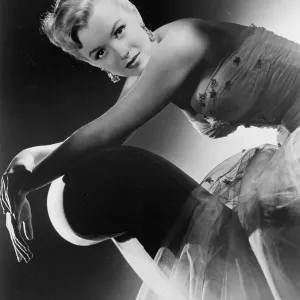 Marilyn Portrait Marilyn Portrait