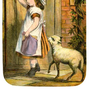 Mary had a little lamb