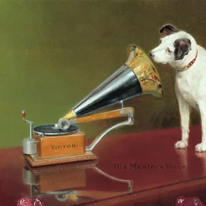 Bettmann Archive Collection: Feel The Music