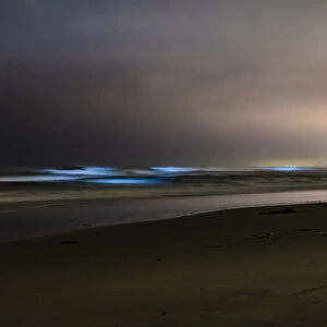 May 2018 Bioluminescent Red Tide in San Diego County