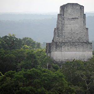Mayan Pyramid Temple III and Forest, Tikal