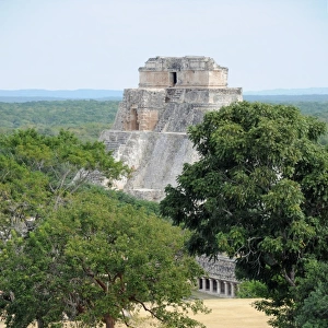 Mayan Step Pyramid, Temple Ruins, Forest Trees