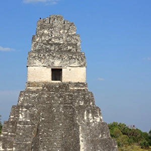 Mayan temple ruins, Tikal, Guatemala