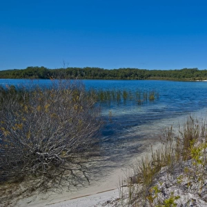 McKenzie Lake, Fraser Island, Queensland, Australia