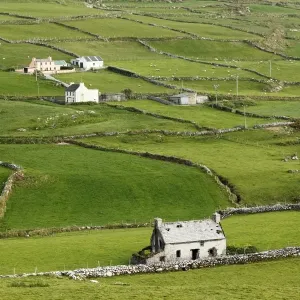 Meadows with walls, Ballaghboy, Beara Peninsula, Cork, Republic of Ireland, British Isles, Europe Meadows with walls, Ballaghboy, Beara Peninsula, Cork, Republic of Ireland, British Isles, Europe