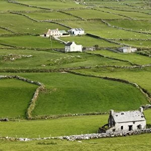 Meadows with walls, Ballaghboy, Beara Peninsula, Cork, Republic of Ireland, British Isles, Europe