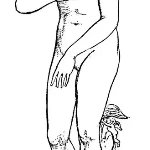 Medicean Venus Medicean Venus