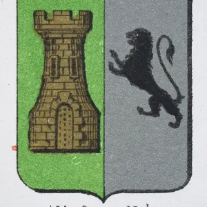 Medieval heraldry, Coat of arms, Shield with Halved, Gold Castle, Green, Black, Rampant, Lion, Silver, Spanish, Vintage illustration Medieval heraldry, Coat of arms, Shield with Halved, Gold Castle, Green, Black, Rampant, Lion, Silver, Spanish, Vintage illustration