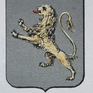 Medieval heraldry, Coat of arms, Shield with Lion, Rampant, Silver, Spanish, Vintage illustration Medieval heraldry, Coat of arms, Shield with Lion, Rampant, Silver, Spanish, Vintage illustration