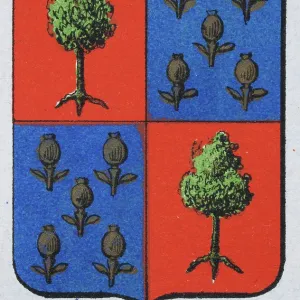 Medieval heraldry, Coat of arms, Shield with Quartered, Green, Oak, Tree, Thistle, Blue, Spanish, Vintage illustration Medieval heraldry, Coat of arms, Shield with Quartered, Green, Oak, Tree, Thistle, Blue, Spanish, Vintage illustration