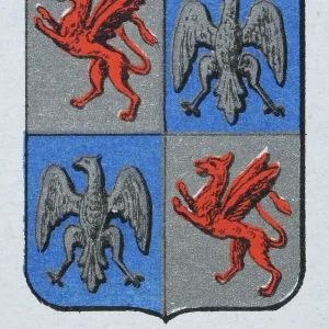 Medieval heraldry, Coat of arms, Shield with Quartered, Red, Griffin, Silver, Eagle, Spanish, Vintage illustration Medieval heraldry, Coat of arms, Shield with Quartered, Red, Griffin, Silver, Eagle, Spanish, Vintage illustration
