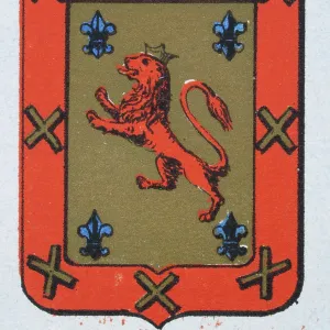Medieval heraldry, Coat of arms, Shield with Red, Lion, Crown, fleur de lis, Spanish, Vintage illustration Medieval heraldry, Coat of arms, Shield with Red, Lion, Crown, fleur de lis, Spanish, Vintage illustration