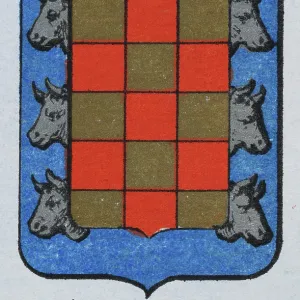 Medieval heraldry, Coat of arms, Shield with Silver, Bulls, Head, Checked, Gold, Red, Spanish, Vintage illustration Medieval heraldry, Coat of arms, Shield with Silver, Bulls, Head, Checked, Gold, Red, Spanish, Vintage illustration