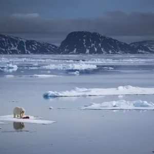 Melting World Melting World