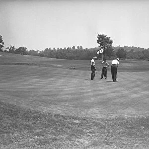 Three men on golf course, (B&W)
