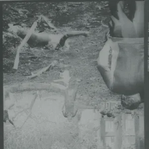 Images Dated 1982 May: 24 May 1982