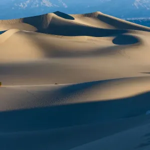 Mesquite Flat Sand Dunes at sunrise Mesquite Flat Sand Dunes at sunrise