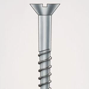 Metal screw, side view