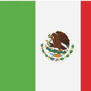 Mexico Flag Illustration