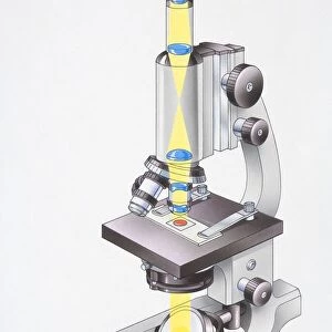 Microscope, light passing through lenses and focusing on glass slide, light also reflecting from mirror onto underside of object being viewed, angled view