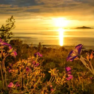 midsummer night in Troms midsummer night in Troms