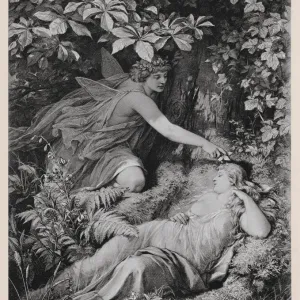 A Midsummer Nights Dream by William Shakespeare, published in 1886 A Midsummer Nights Dream by William Shakespeare, published in 1886