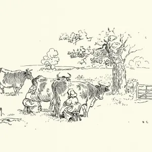 Milkmaids milking cows in the field, Victorian, 19th Century Milkmaids milking cows in the field, Victorian, 19th Century