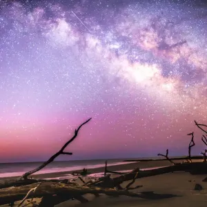Milky Way Roots Milky Way Roots