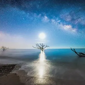 milkyway shore milkyway shore