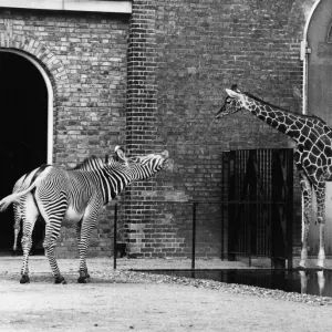 Images Dated 1970 November: 24 Nov 1970